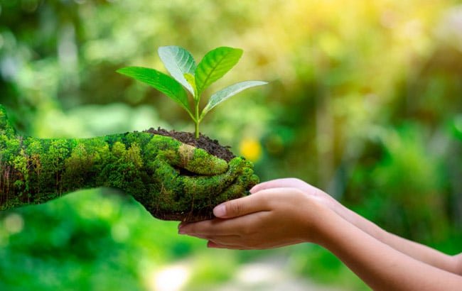 Sustainability Image 1
